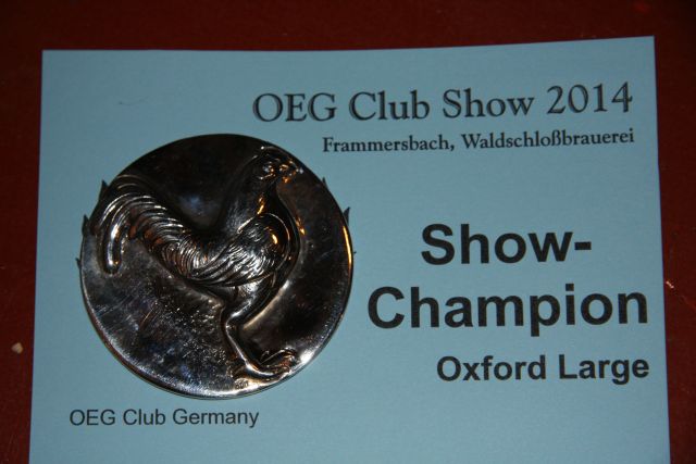 1. OEG-Club 2014 Show in Frammersbach